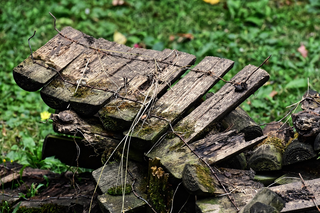 Weathering Wood: The Technique Revealed